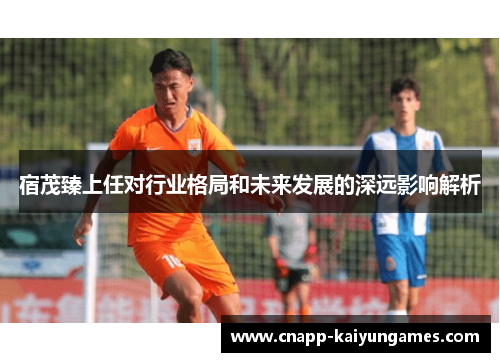 宿茂臻上任对行业格局和未来发展的深远影响解析