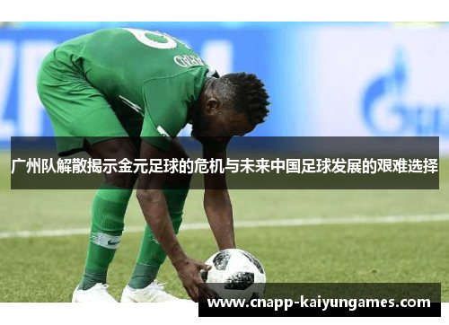 广州队解散揭示金元足球的危机与未来中国足球发展的艰难选择