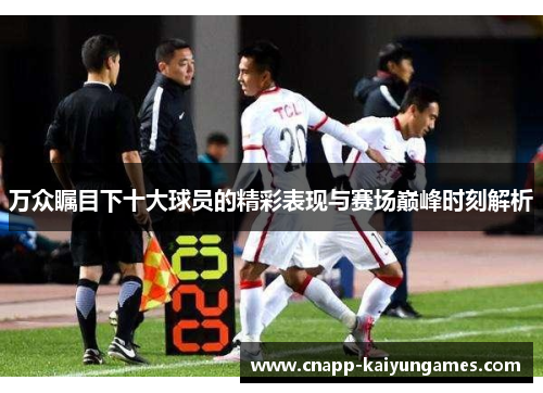 万众瞩目下十大球员的精彩表现与赛场巅峰时刻解析