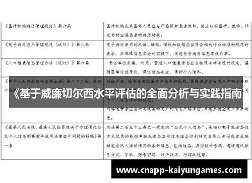 《基于威廉切尔西水平评估的全面分析与实践指南》
