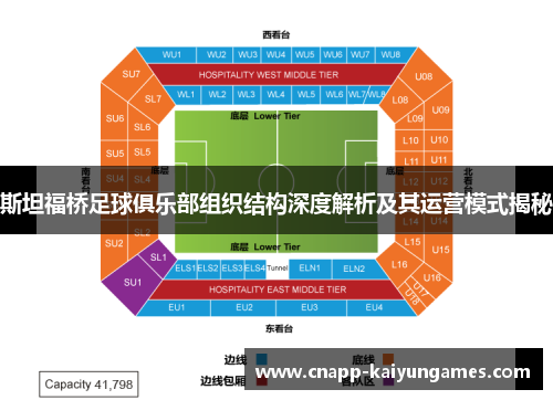 斯坦福桥足球俱乐部组织结构深度解析及其运营模式揭秘