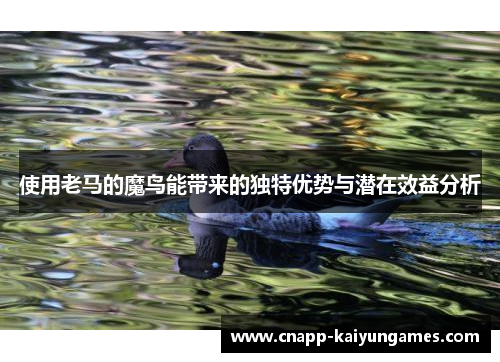 使用老马的魔鸟能带来的独特优势与潜在效益分析