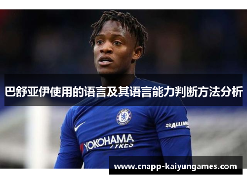 巴舒亚伊使用的语言及其语言能力判断方法分析