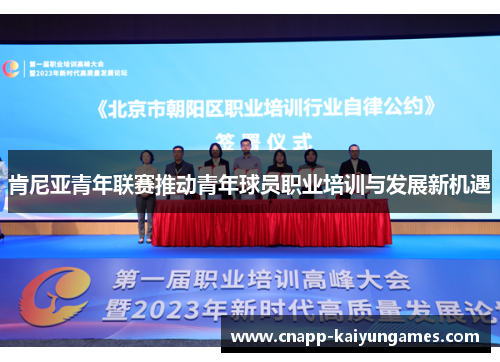 肯尼亚青年联赛推动青年球员职业培训与发展新机遇